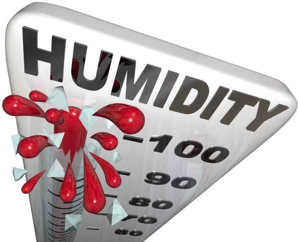 High Humidity in Middletown, New York